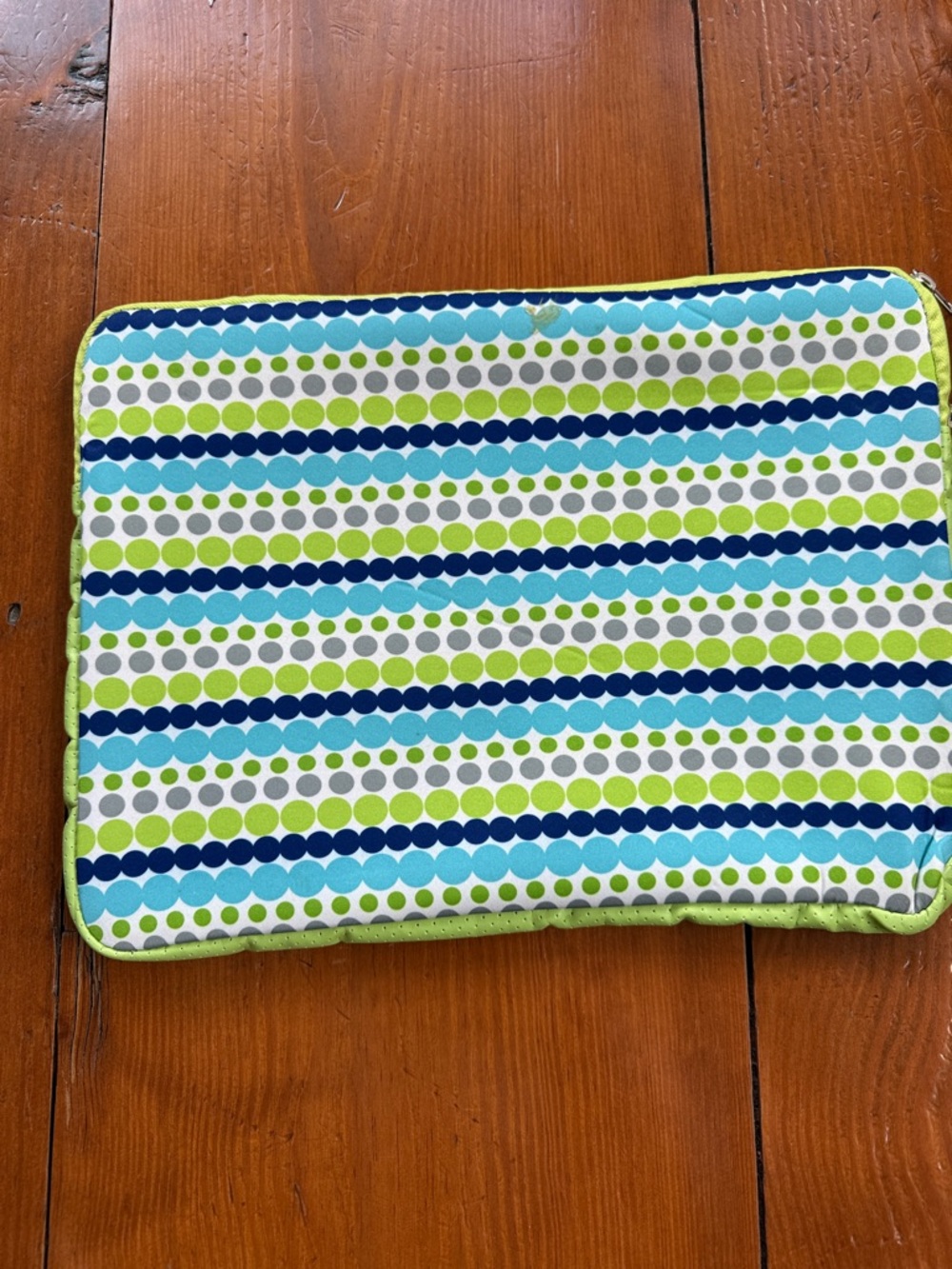 NWT Computer LAPTOP case 10x14
